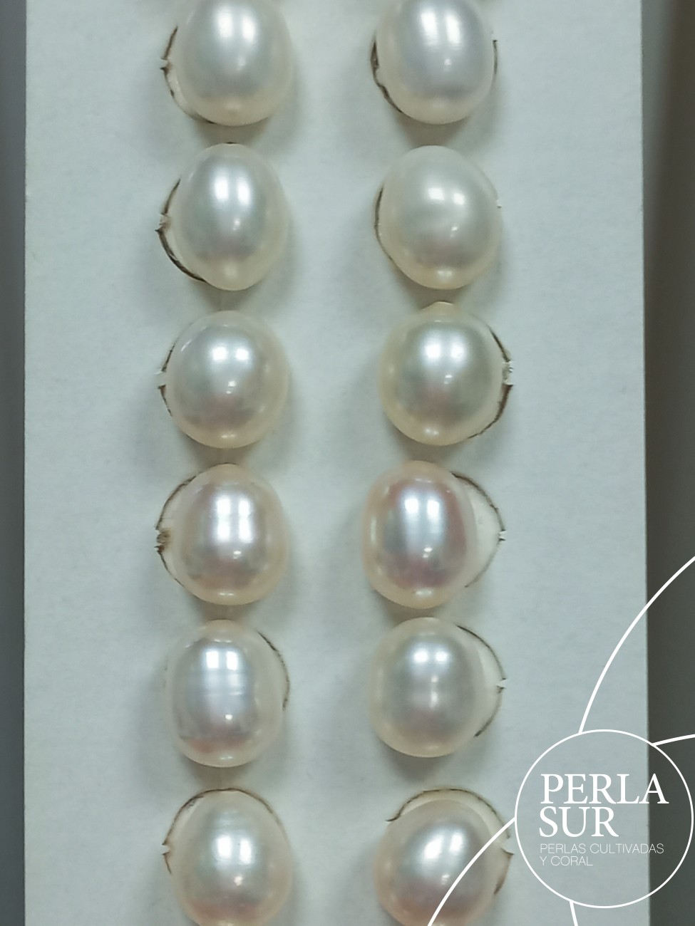 Pareja Perla Oval 8x10mm 1/2T. Blanca