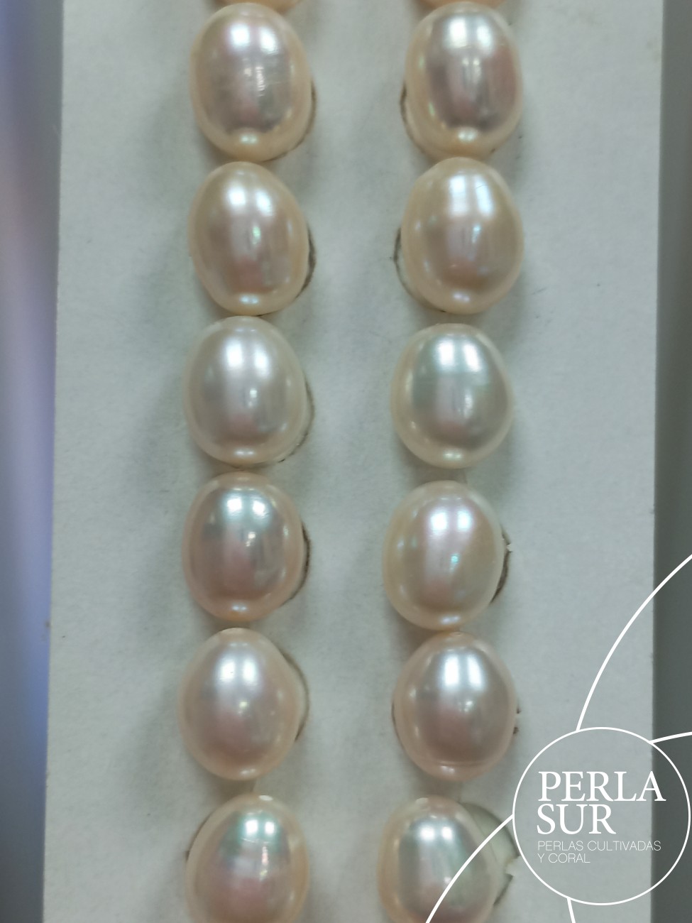Pareja Perla Oval 8'5x10mm 1/2T. Blanca
