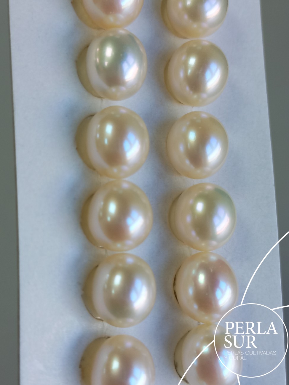Pareja Perla Oval 9x10mm 1/2T. Blanca Crema