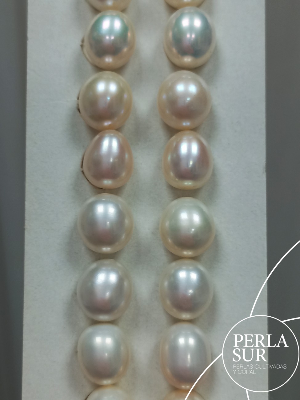 Pareja Perla Oval 9-9'5x10'5mm 1/2T. Blanca