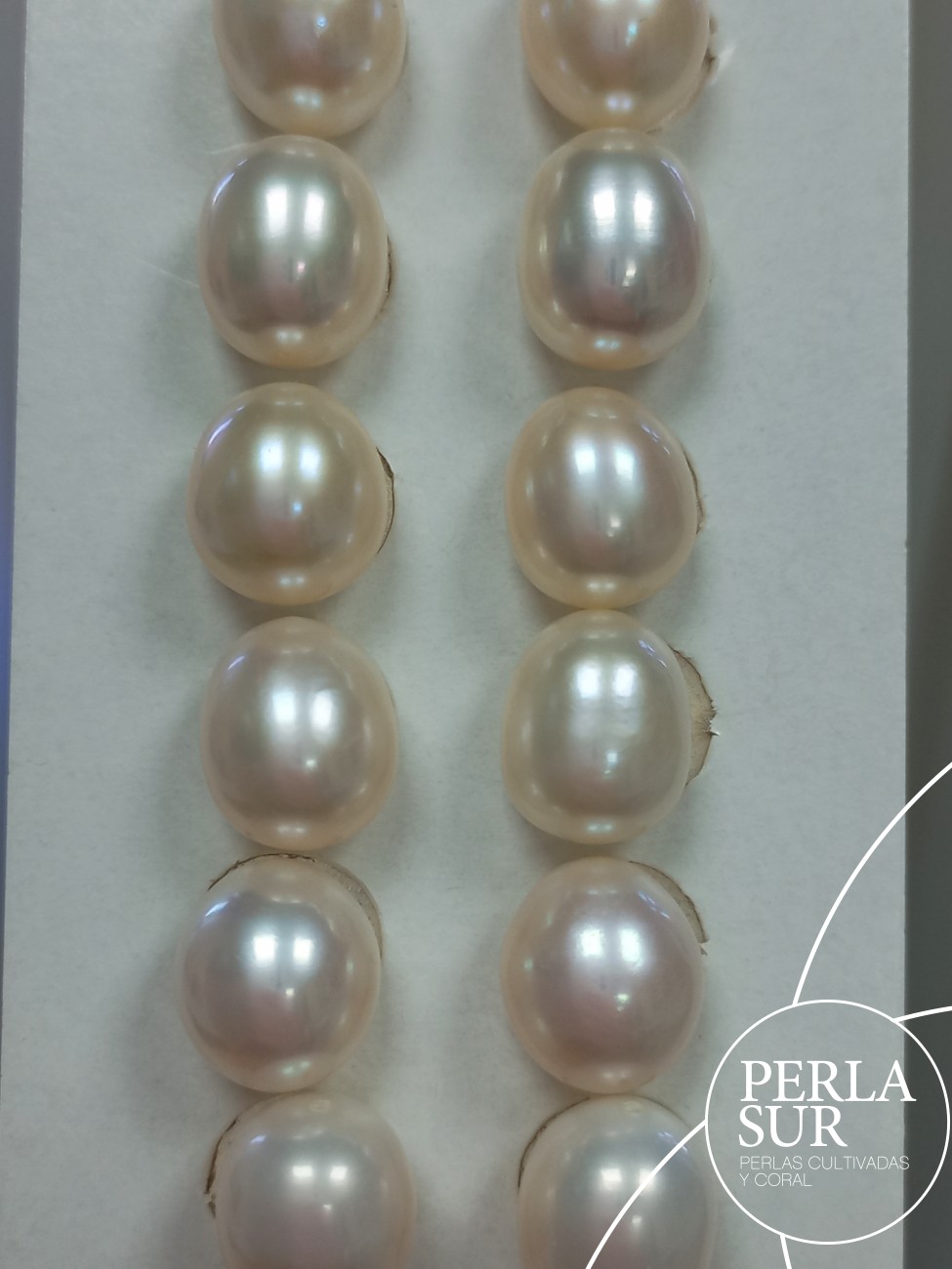 Pareja Perla Oval 9x11mm 1/2T. Blanca