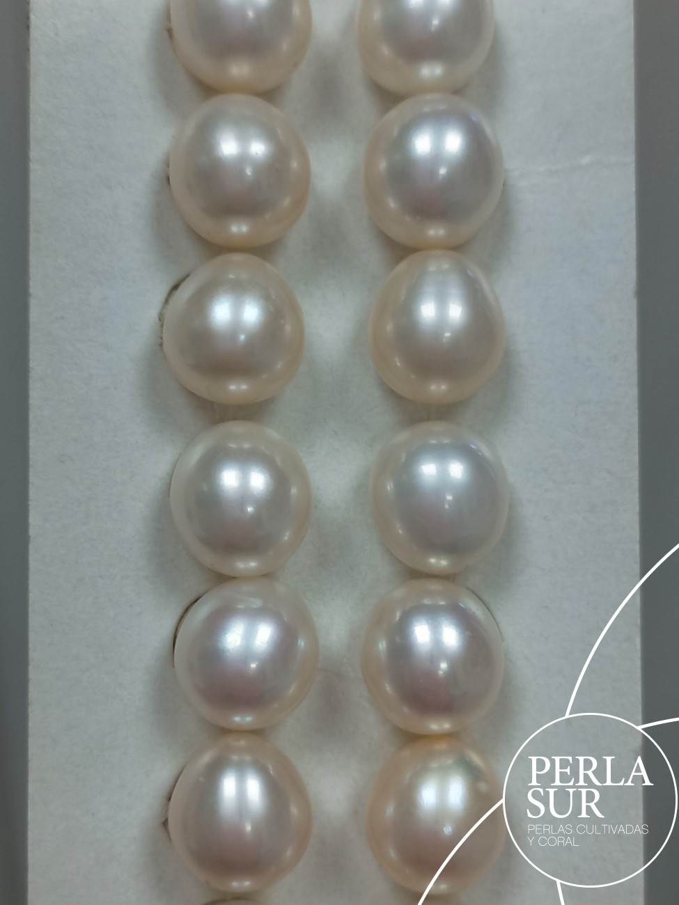 Pareja Perla Oval 9'75x10mm 1/2T. Blanca