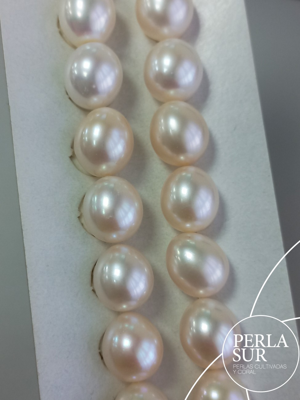 Pareja Perla Oval 9'75x11mm 1/2T. Blanca