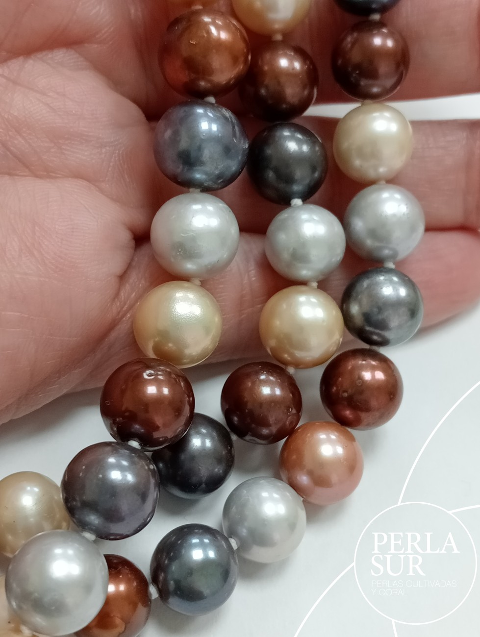 Hilo perla redonda multicolor 10mm