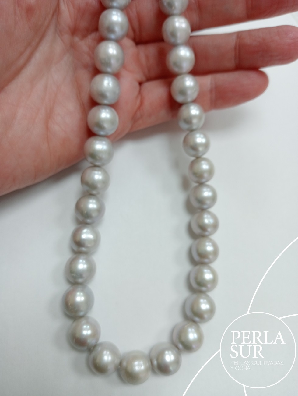 Hilo perla redonda 10-11mm gris