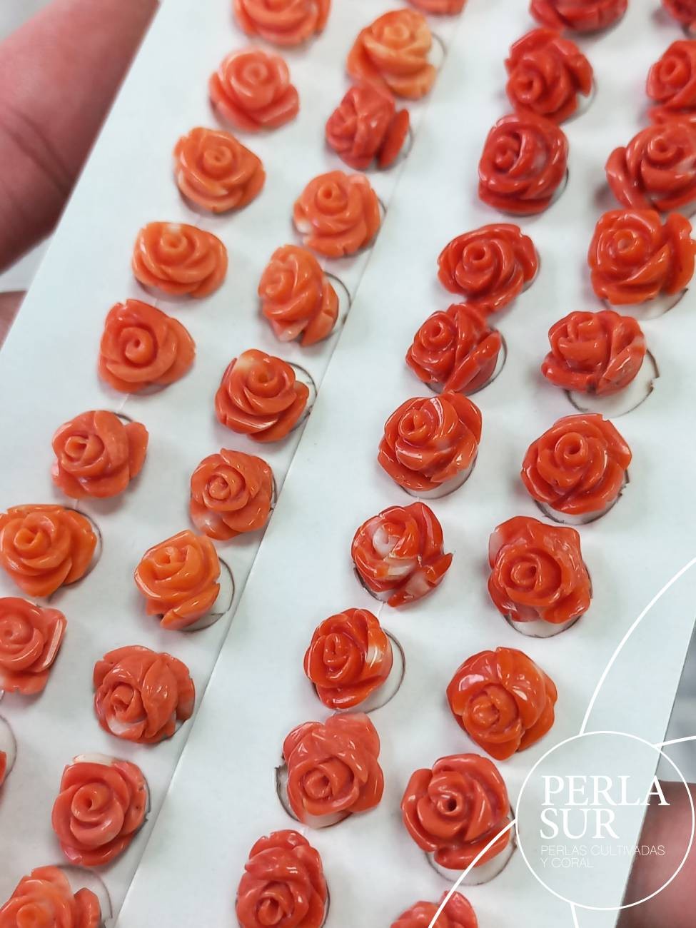 Pareja Rosa 10 a 11mm 1/2 T. Coral Japonés
