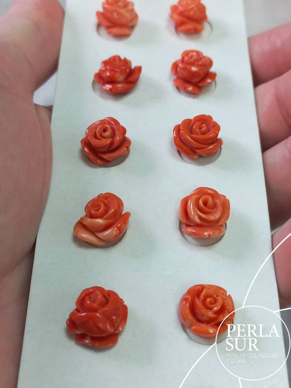 Pareja Rosa 11 a 12mm 1/2T. Coral Japonés