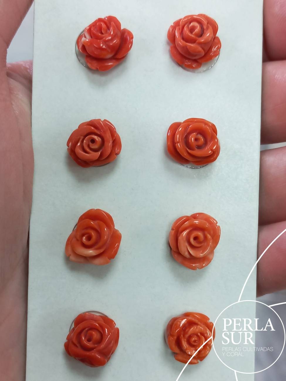 Pareja Rosa 11 a 12mm 1/2T. Coral Japonés