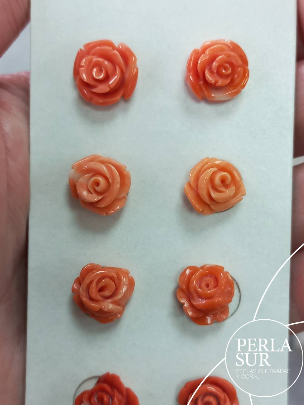Pareja Rosa 11 a 12mm 1/2T. Coral Japonés