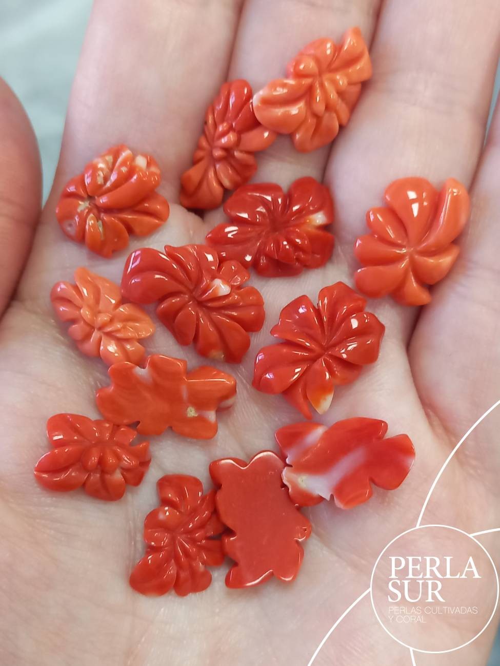 Flores de Hibisco Coral Japonés