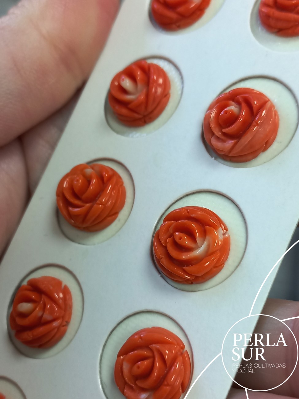 Pareja Rosa 11-12mm Plana Redonda Coral Japonés