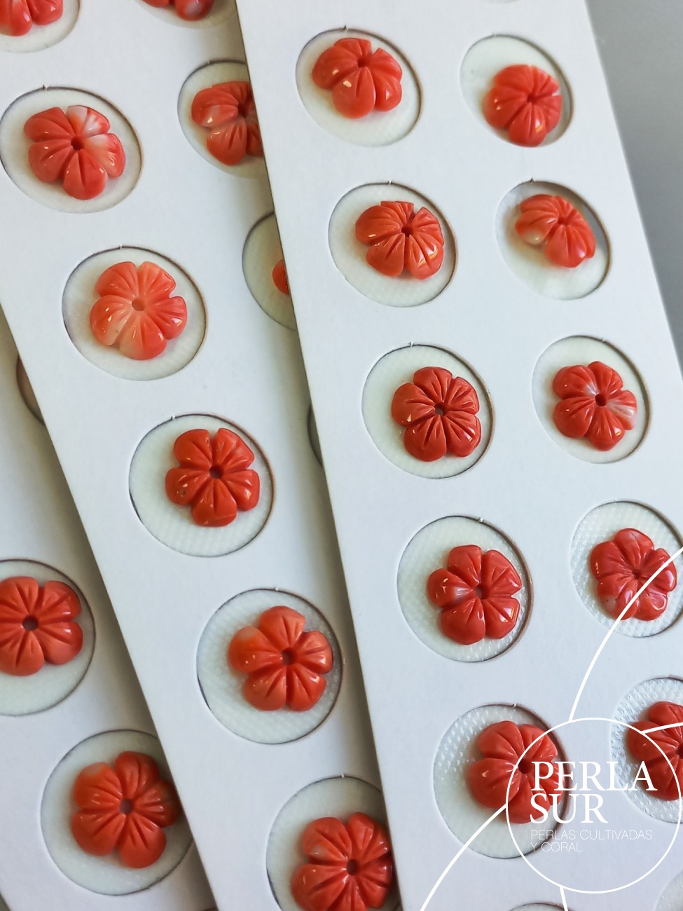 Pareja Flor 5 pétalos 13 a 15mm Coral Japonés