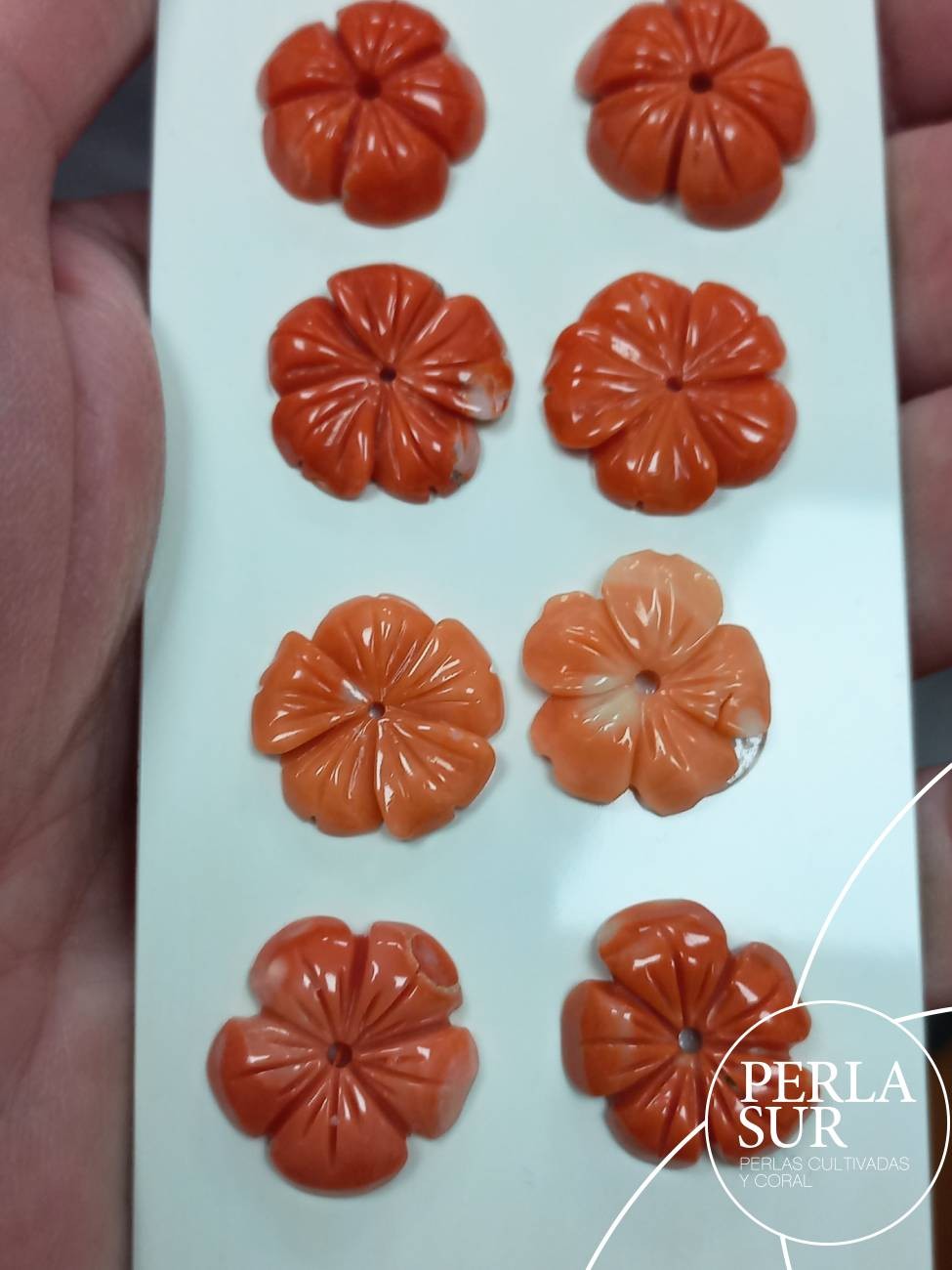 Flor 5 pétalos 16 a 18mm Coral Japonés