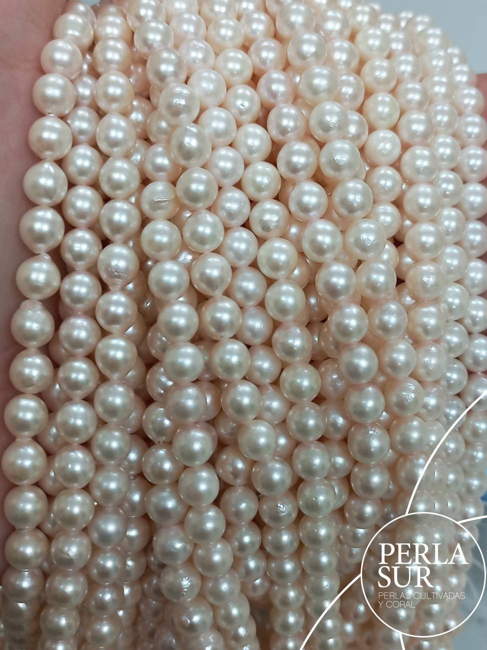 Hilo perla akoya rosa 6-6'5mm redonda