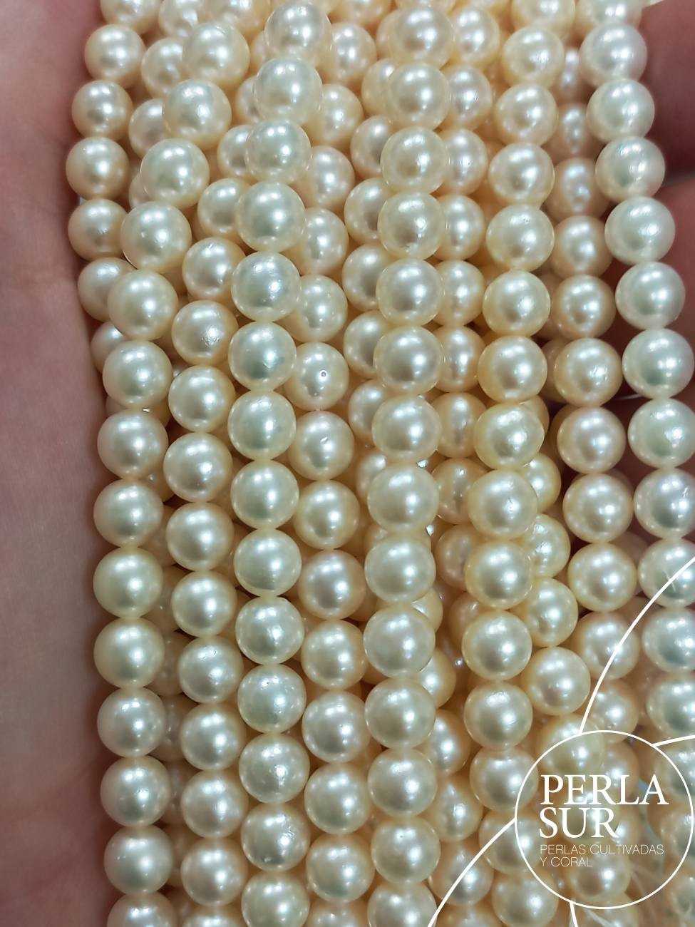 Hilo perla akoya golden 6-6'5mm redonda