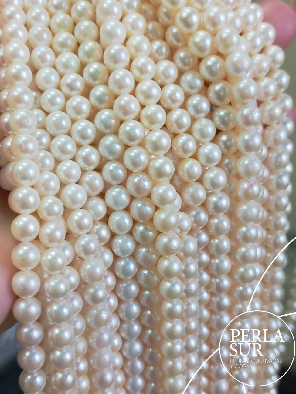 Hilo perla akoya B 6-6'5mm redonda