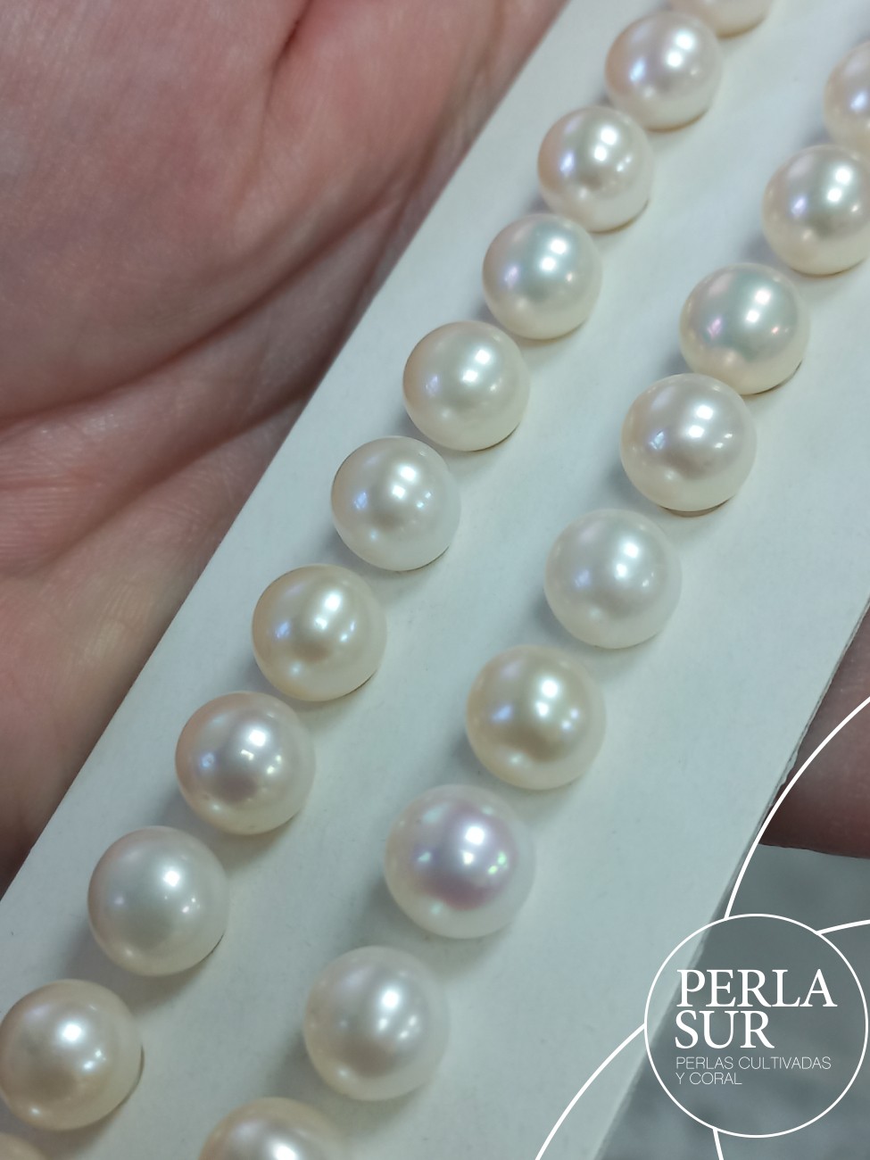Pareja perla semiredonda 1/2t 8-8'5mm crema