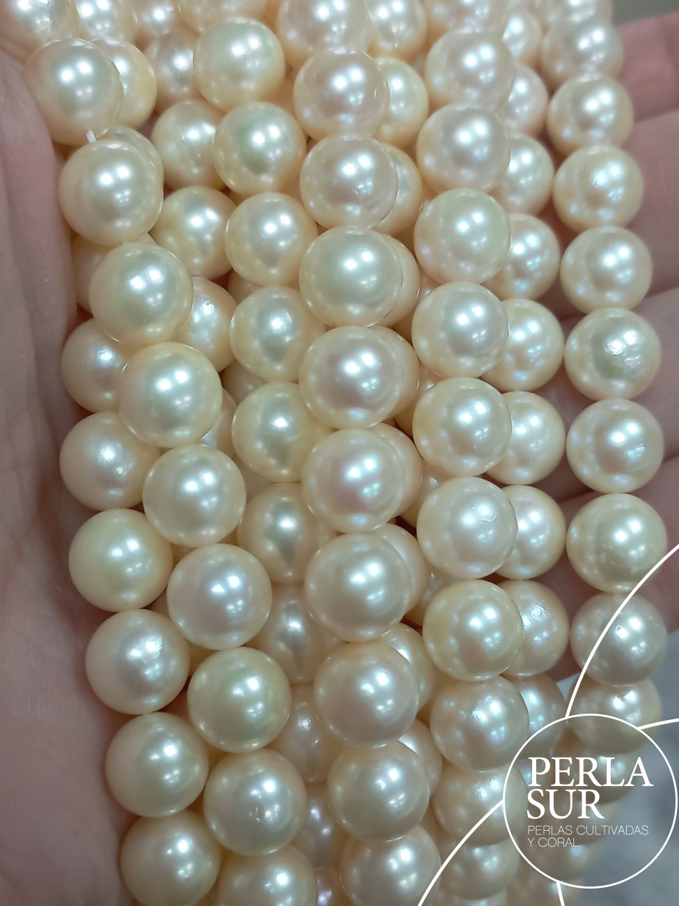 Hilo Redondo 8-8'5mm Golden B Perlas Cultivadas Akoya