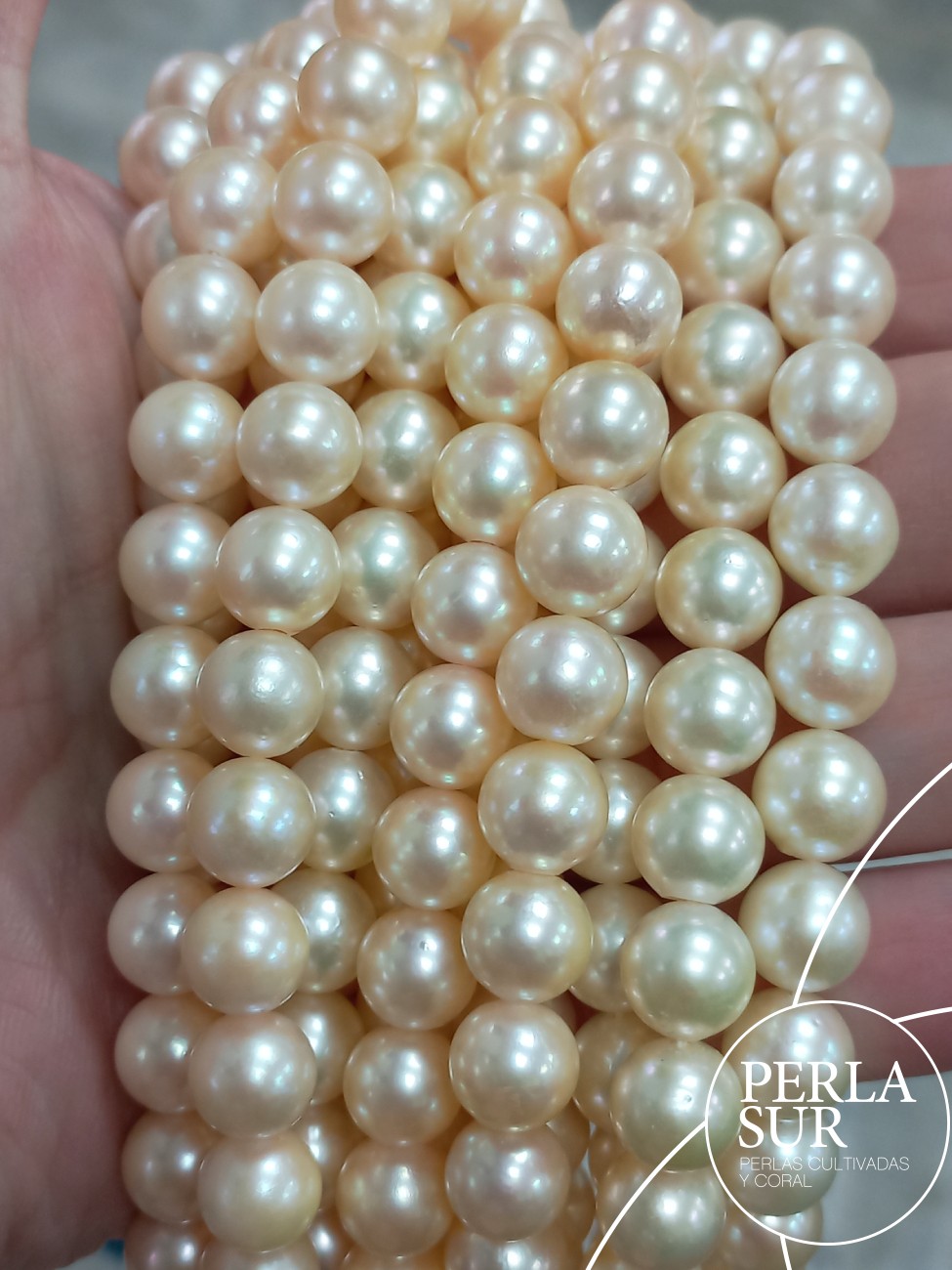 Hilo Redondo 8'5-9mm Golden Perlas Cultivadas Akoya