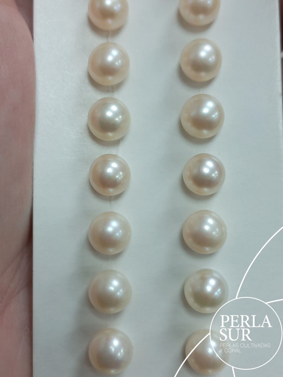 Pareja perla esférica 1/2t 7-7'5mm B Blanca