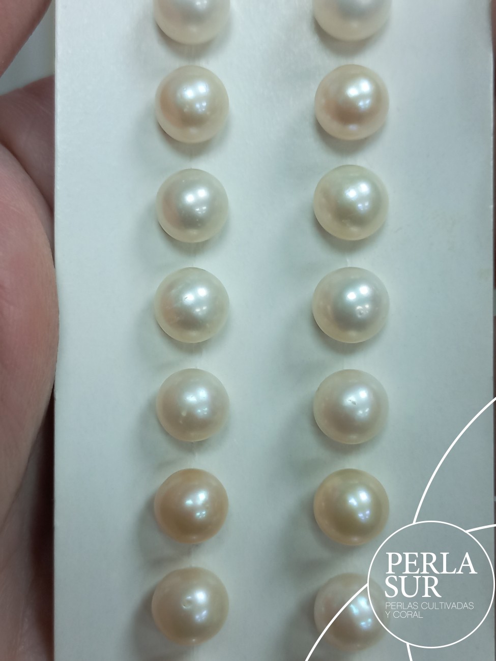 Pareja perla esférica 1/2t 7-7'5mm C Blanca