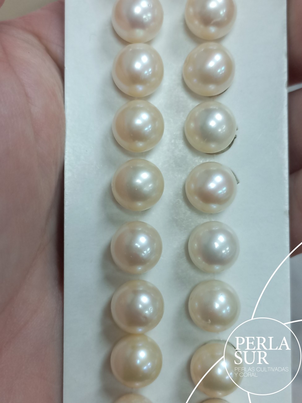 Pareja perla esférica 1/2t 9'5-10mm C blanca