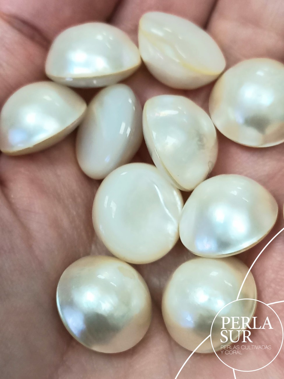 Perla mabe 15'5mm Clásicas Sueltas