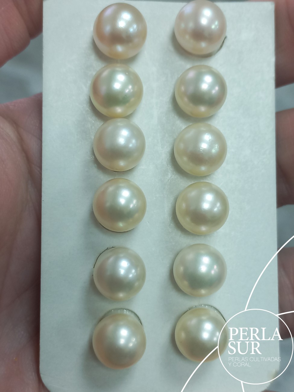 Pareja perla akoya 1/2t 9'25-9'50mm crema