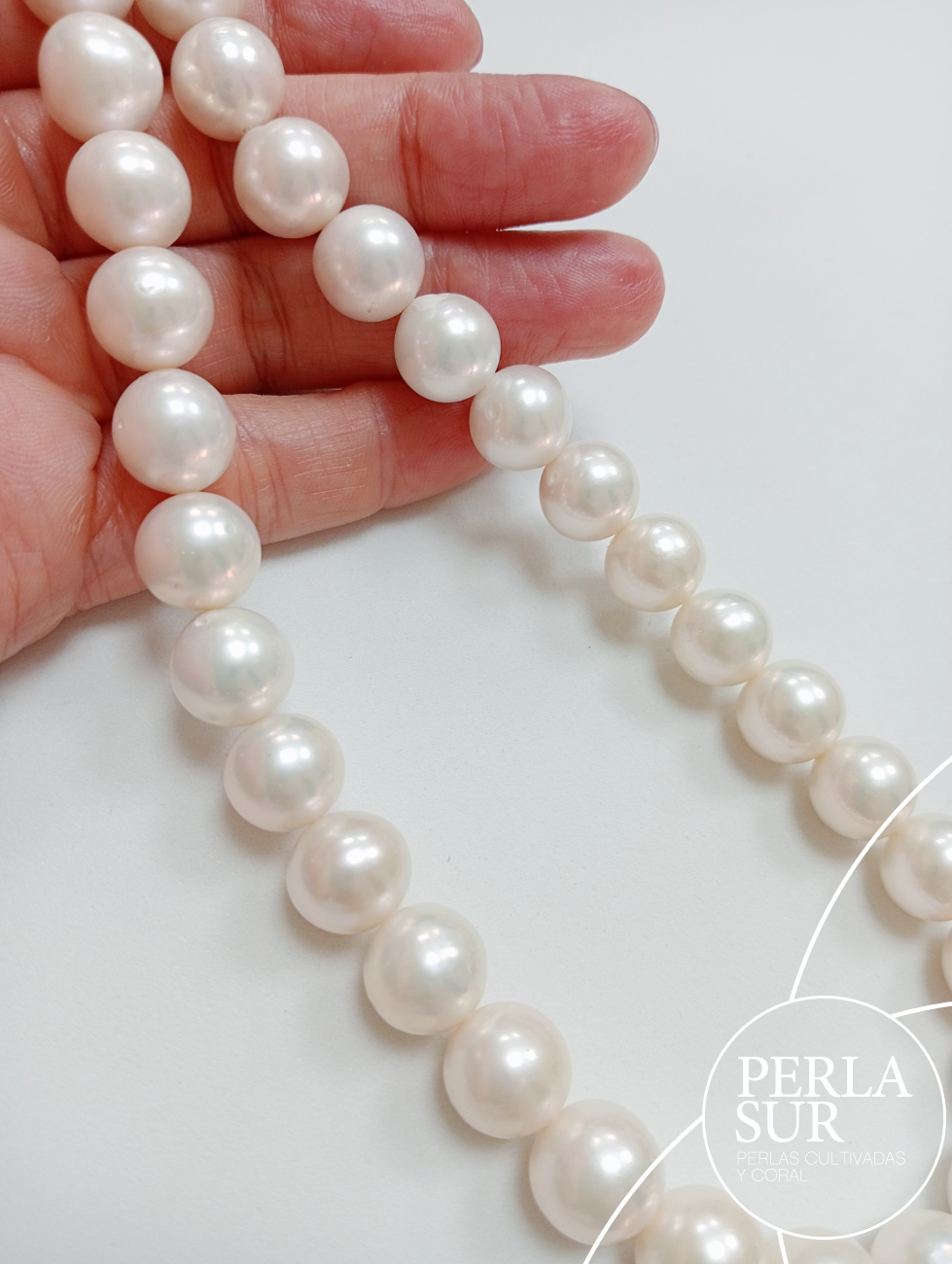 Hilo perla redonda Edison 11'5-12mm blanca