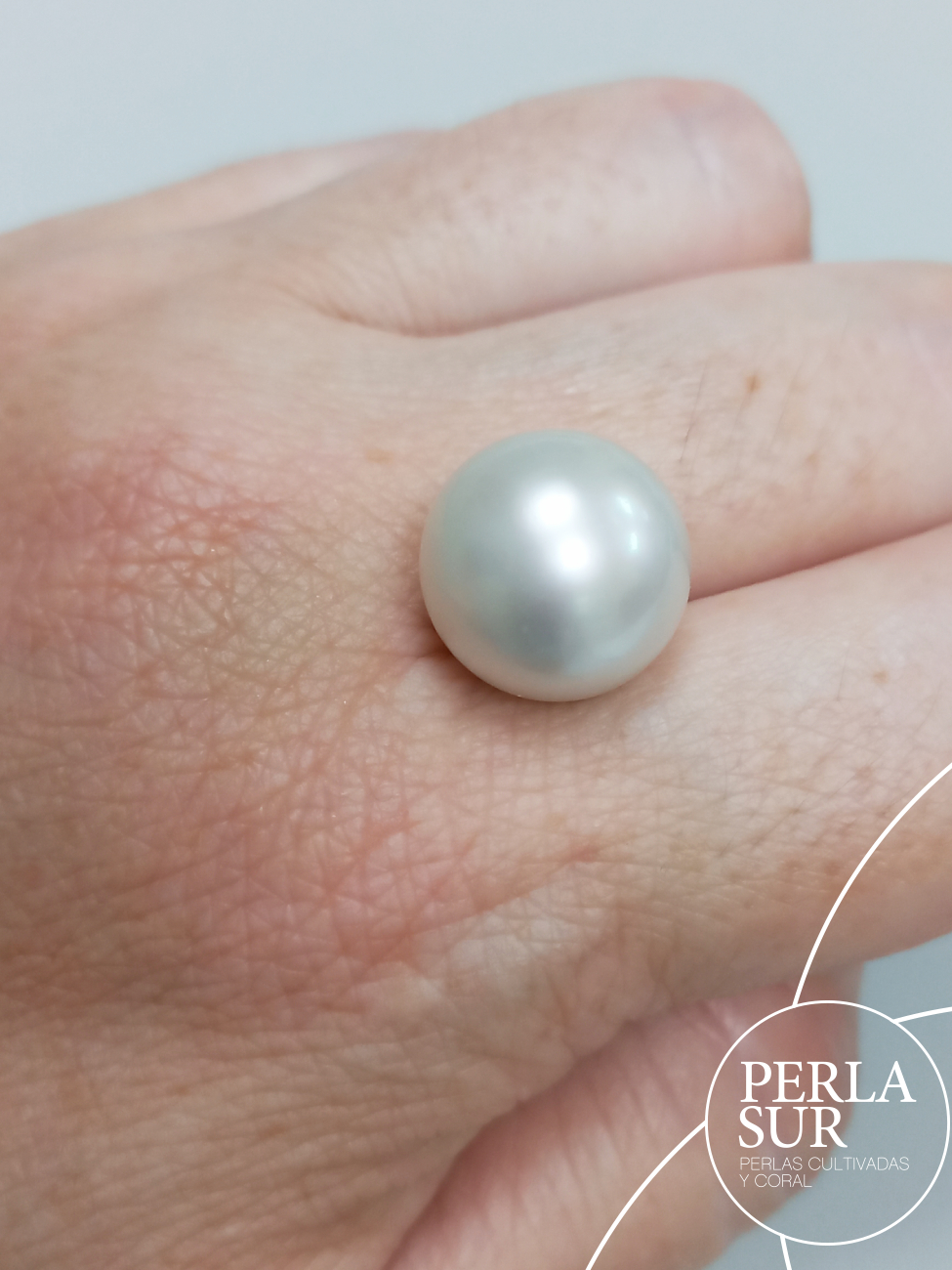Perla Australiana Redonda 13'5-14mm A