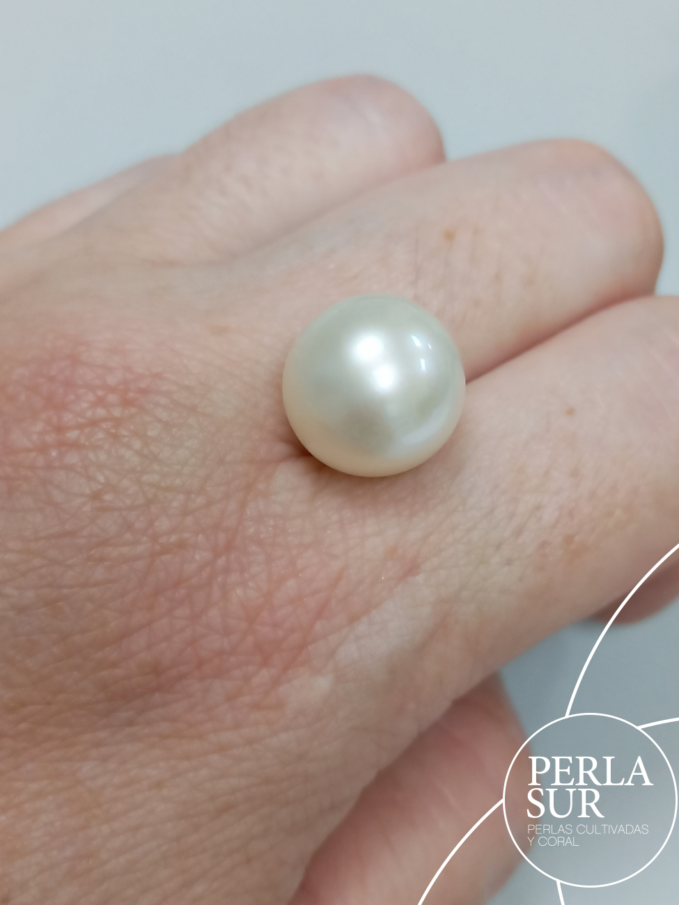 Perla Australiana Redonda 13'5-14mm A