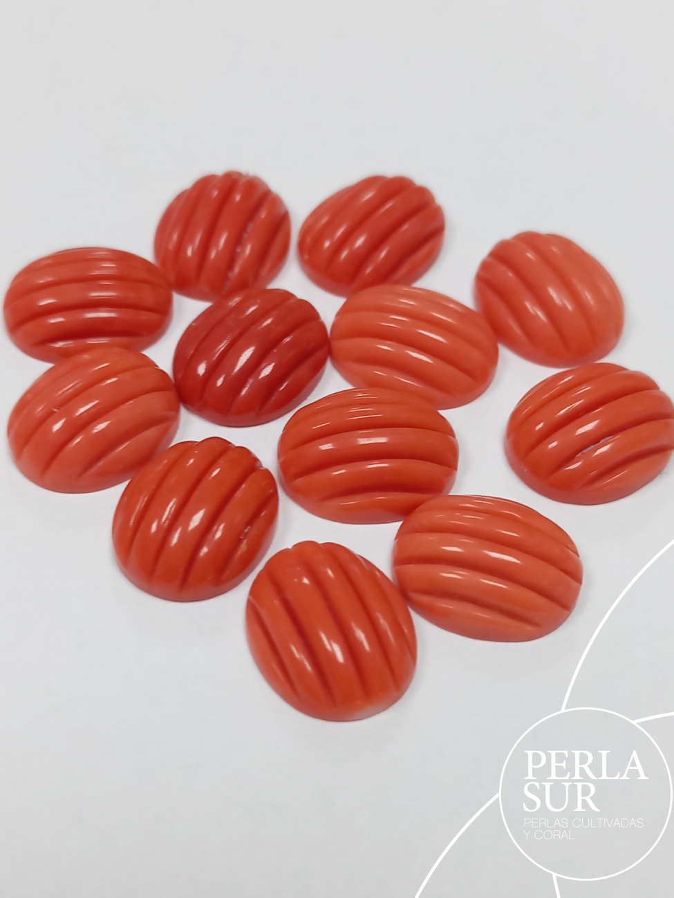 Cabujón 10x12mm Oval Galloneado Vertical Coral Japonés
