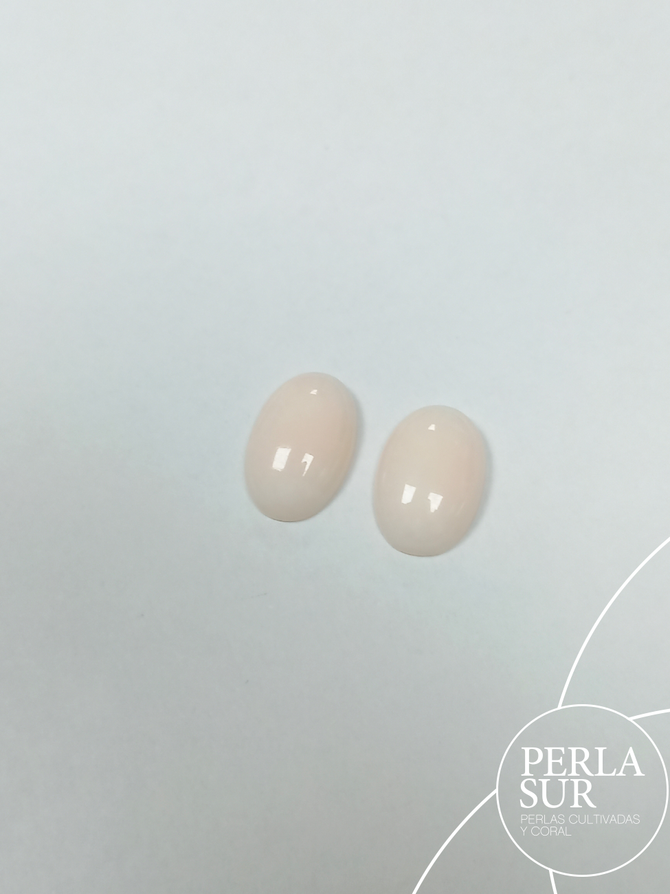 Pareja cabujón 12x8mm Oval Coral Rosa