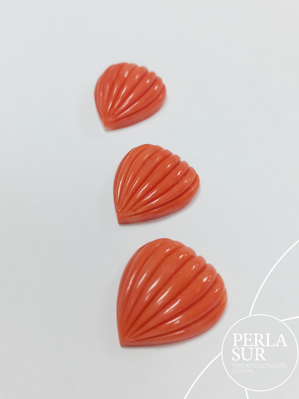 Cabujón lágrima 16x18mm 8 gallones vertical coral japonés