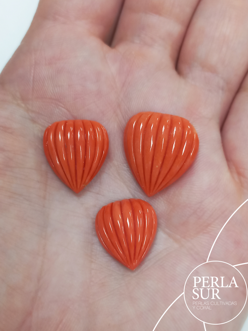 Cabujón lágrima 16x18mm 8 gallones vertical coral japonés - Imagen 2