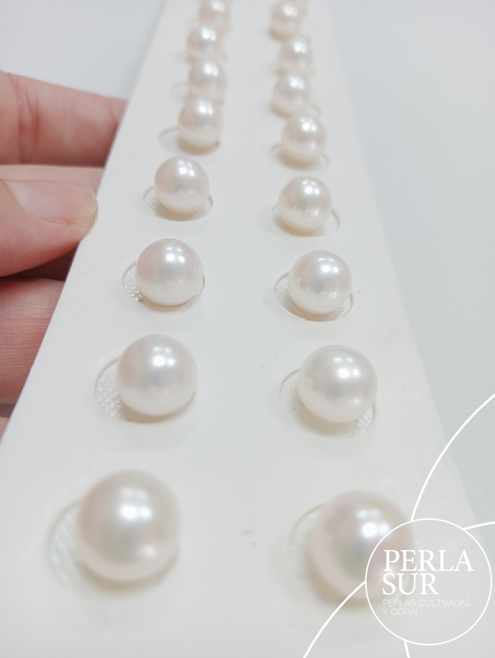 Pareja perla esférica 1/2t 9-9'5mm blanca