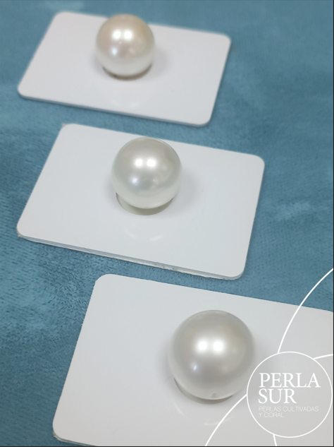 Perla Australiana Redonda 15'5-16mm