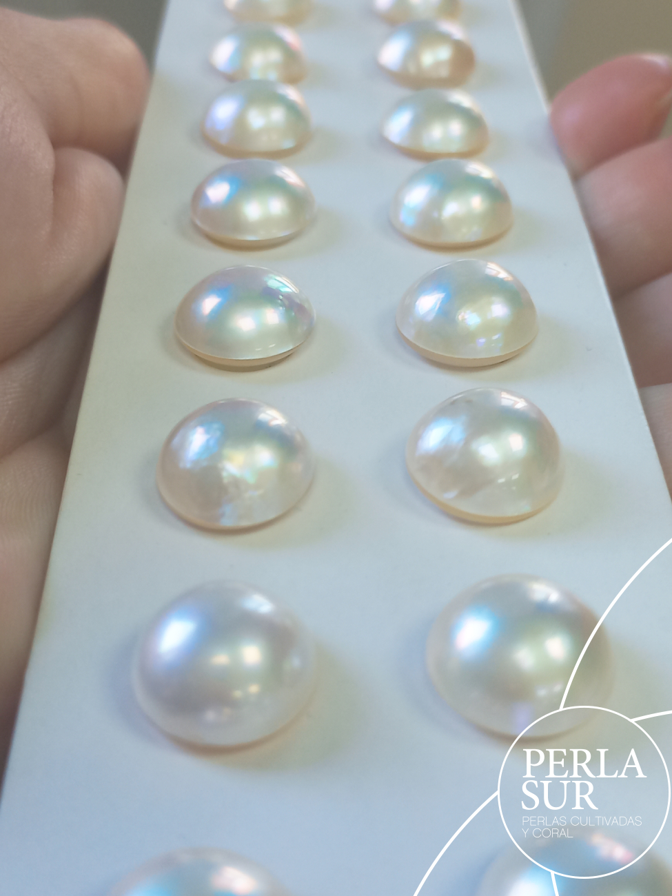 Perla Mabe 13-13'5mm Lisas Tornasol