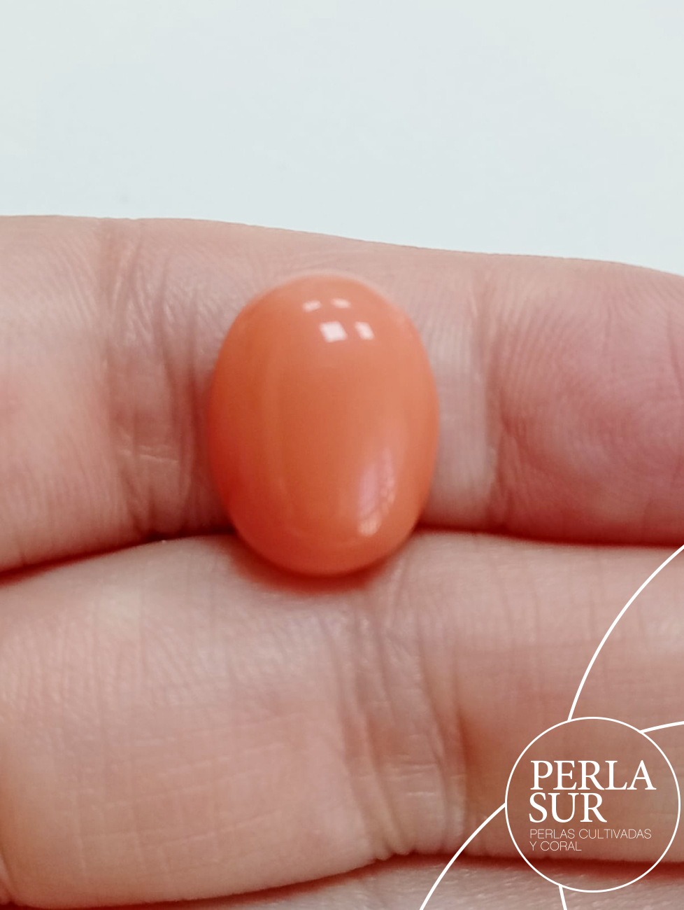 Cabujón 12x16mm oval coral sintético (salmón)