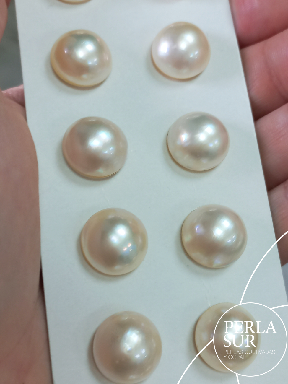 Perla Mabe 13'5-14mm Lisas Crema