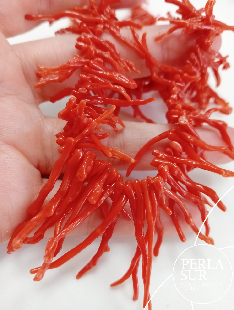 Hilo ramitas coral mediterráneo 50cm nº 9